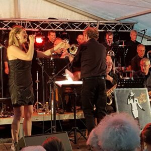 MissJones BigBand met Artiesten (14)